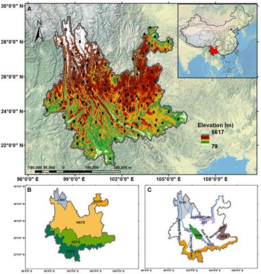 Spatiotemporal trends of atmospheric dryness during 1980–2021 in Yunnan, China